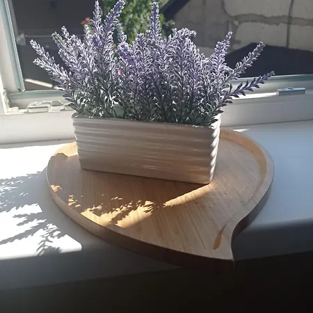 Apartamento Zana Travnik